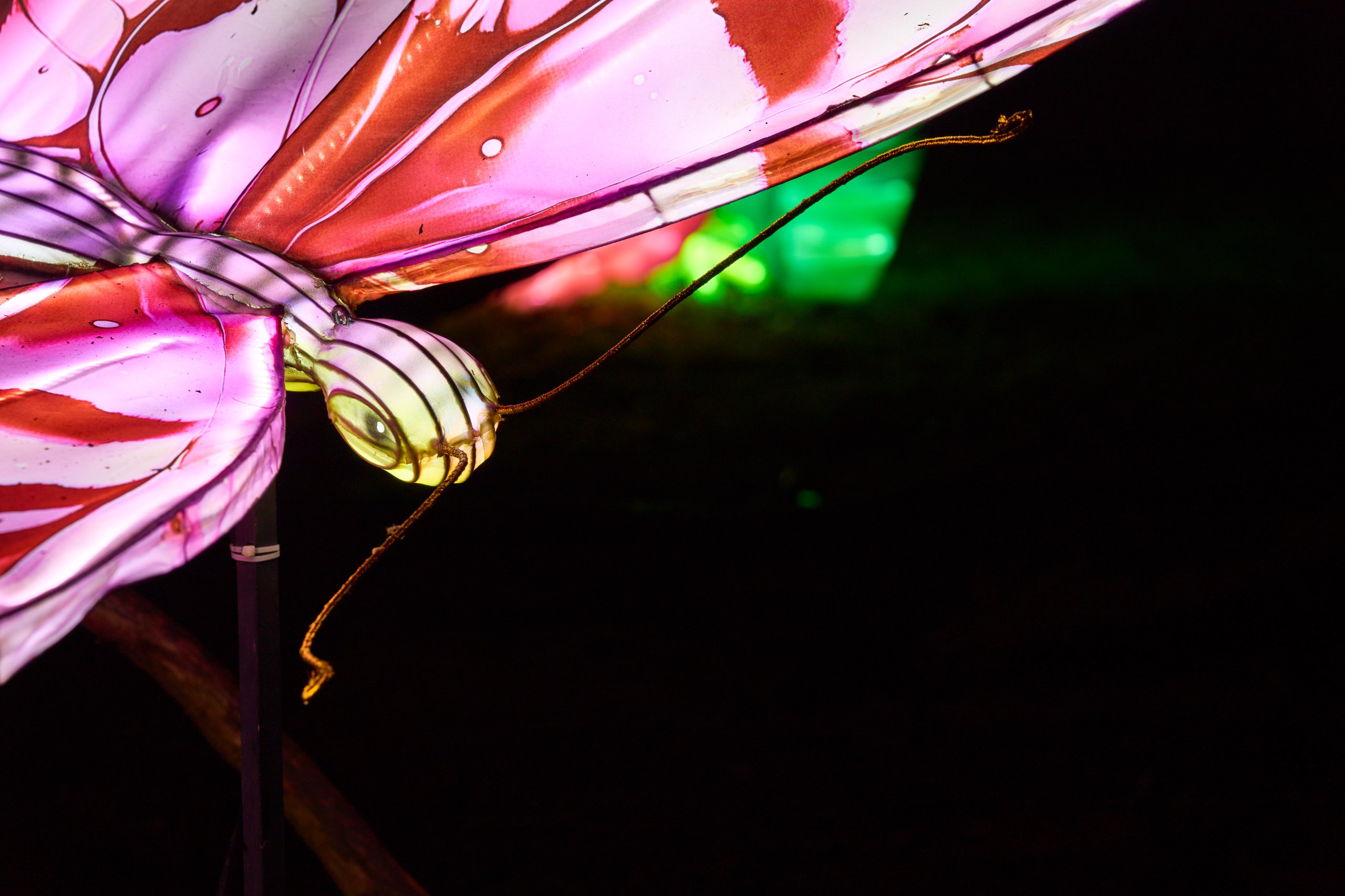 2026 02 03 Parkleuchten 0270